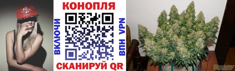 Марихуана Bruce Banner  Лянтор 